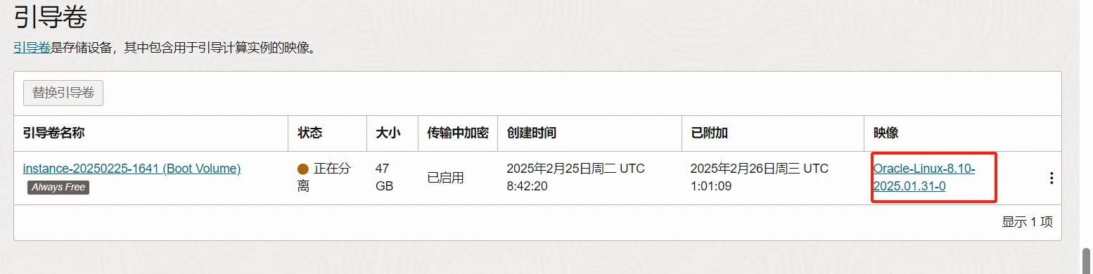 图片[3]-甲骨文云Oracle Cloud官方重装系统/官方救砖教程-岸边IBIAN
