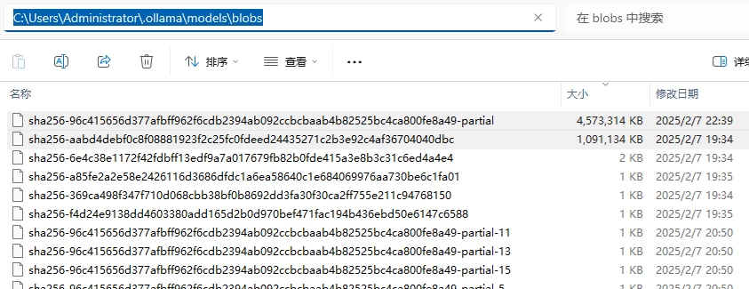 本地部署 DeepSeek 大模型教程插图9 本地部署 DeepSeek 大模型教程插图9