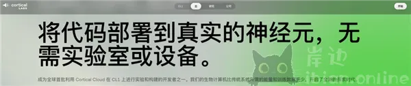 用人脑细胞跑AI 我快搞不懂这个世界了
