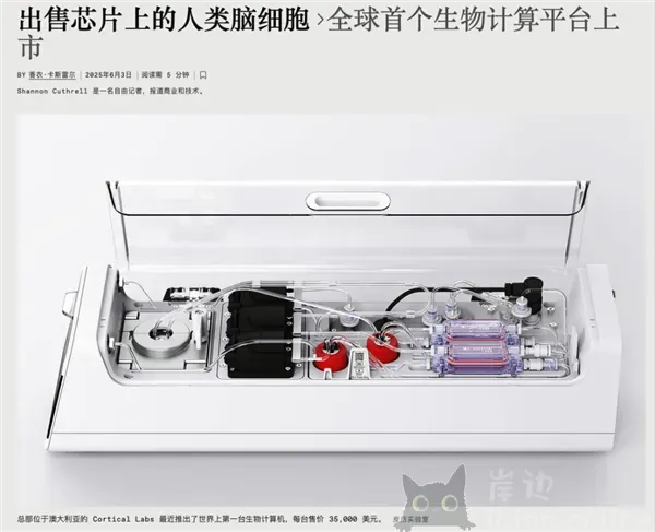 用人脑细胞跑AI 我快搞不懂这个世界了-岸边IBIAN