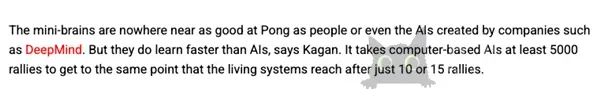 用人脑细胞跑AI 我快搞不懂这个世界了