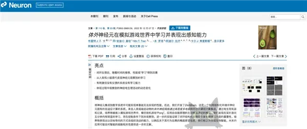 用人脑细胞跑AI 我快搞不懂这个世界了