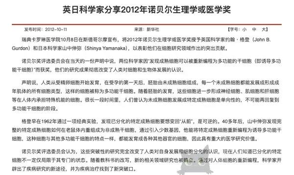 用人脑细胞跑AI 我快搞不懂这个世界了